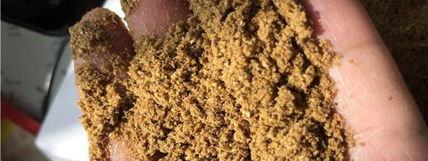 发酵过程泡沫的形成及控制？