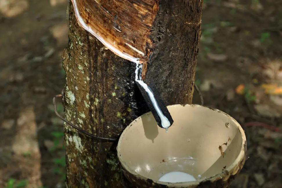 天然乳胶增稠剂